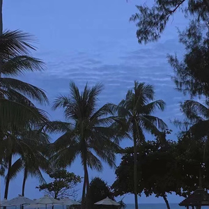 森日向子aⅴ免费播放
