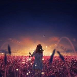 森日向子aⅴ免费播放
